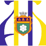 Нетішинський академічний ліцей